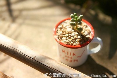 最全的星座系名句欣赏