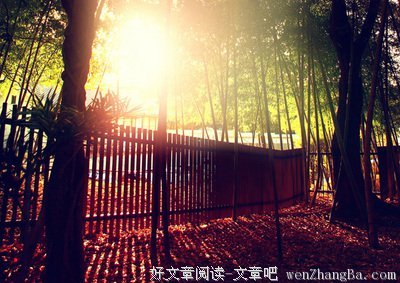 关于精打细算的格言