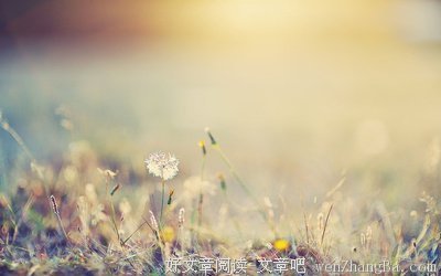 关于委曲求全的格言
