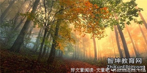 关于时不再来的语句