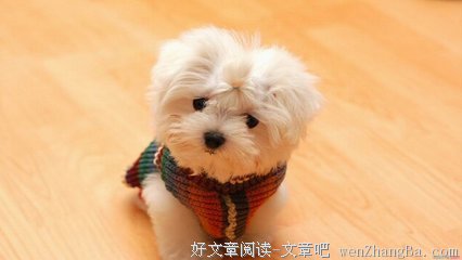描写莫名其妙的语句摘抄