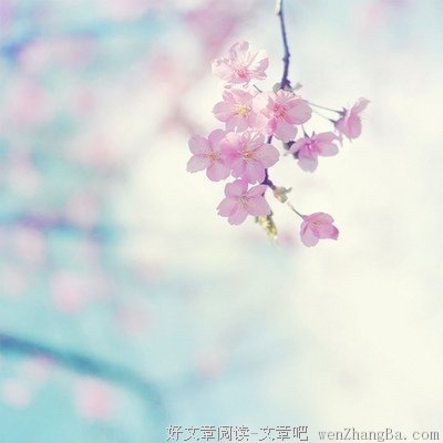 最全的曹植经典句子