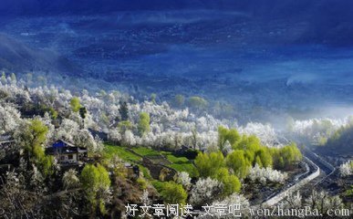 金川诗歌经典语录