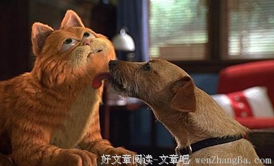 加菲猫格言警句