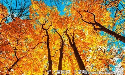 关于一声不吭的名言