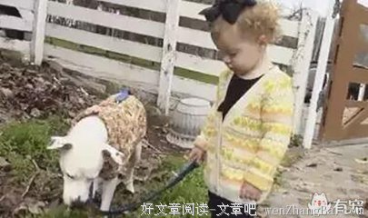 希望他死还是活着?