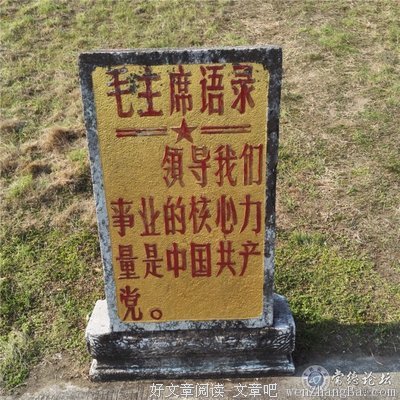 阳光看待
