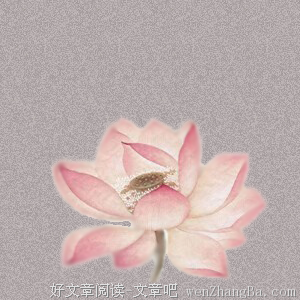 红楼共读|也说湘云的自爱