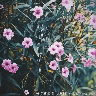 最全的《当我谈跑步时我谈些什么》经典语录