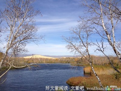 关于不出意外的语句