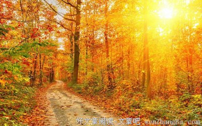 反感的语句摘抄_关于反感的语句