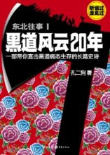 最新的《风云》小说书摘大全
