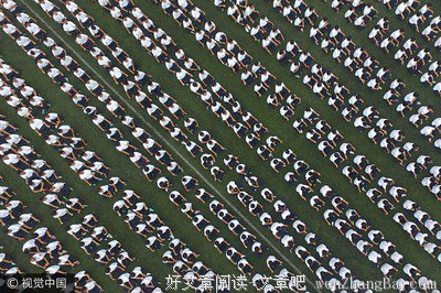 孙俪：18岁守寡，42岁去世，独自打拼成陕西女首富，被慈禧收为干