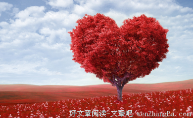 这3个星座在2018年，会相当幸福！