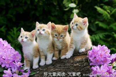“儿臣”的账单与“额娘”的神回复火了！这娘俩真是太逗了！