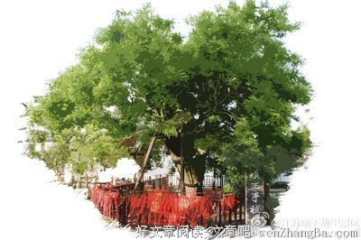 最全的梁衡精彩语录
