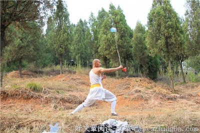 无数的句子