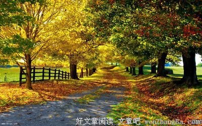 划算格言警句