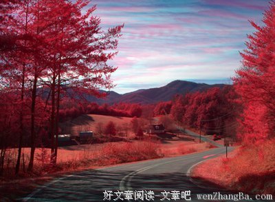 关于天晓得的格言