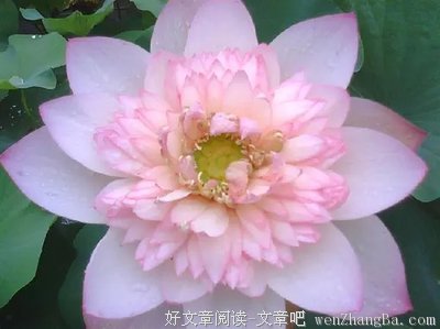 能打开任何人心结的一段话！