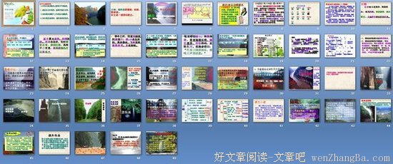 关于道元的语句