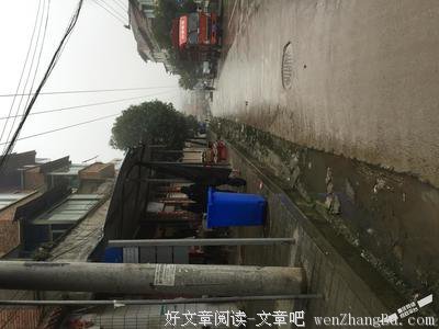 关于陈家的名言