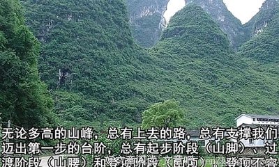 最新的《肥鸟当自强》语录摘抄