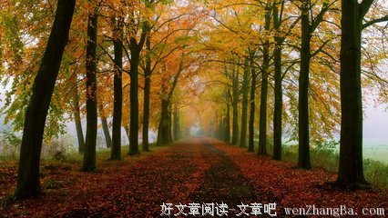 描写萧索的语句摘抄