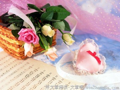 最新的银教授经典句子