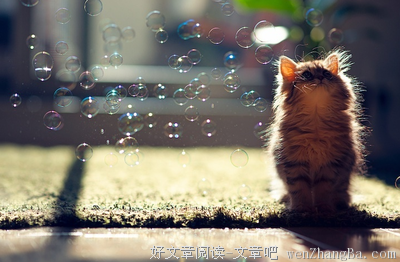 心神不宁格言警句