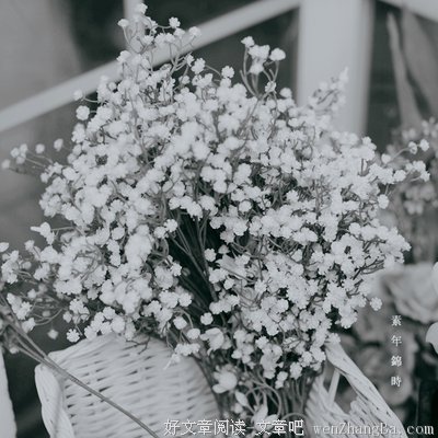 最全的《清醒纪》语录摘抄