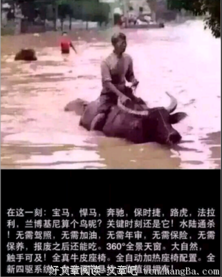 黑狗的名句_关于黑狗的名句
