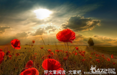 最后一批「恐婚症」患者