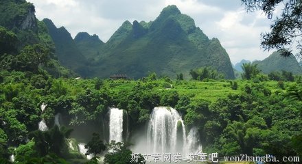 想去这片神秘的热带雨林里，抱住两个光脚奔跑的小天使