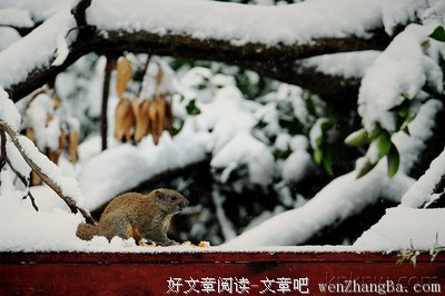 幸运不会总是光顾你