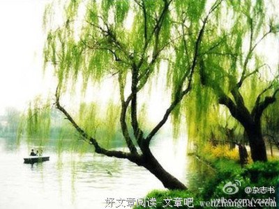 阿朱格言警句