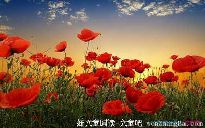 神采奕奕的句子