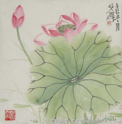 关于小荷的格言