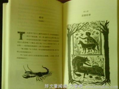 2017安吉拉·卡特经典语录