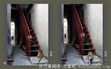 知难而退的名人名言