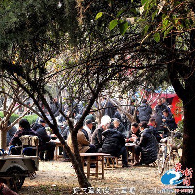 我在牌局的日子里