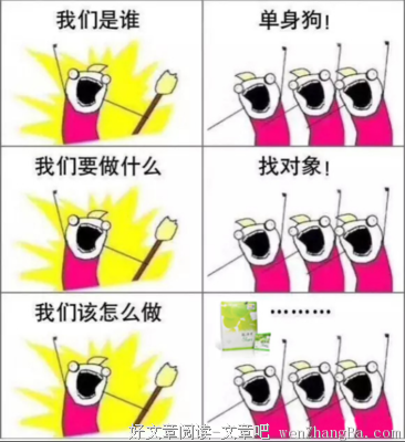 “无尾熊”的狗粮，到底藏着什么秘密