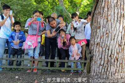 家有一“葫芦”，不愁好运不怕穷！
