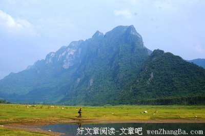 芝爱兰经典句子