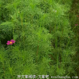 很累，但无路可退！