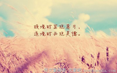 最新的《碎句与短章》经典语录