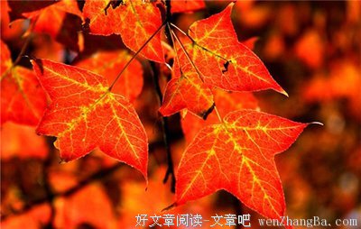 什么是狮子座最难相处的地方