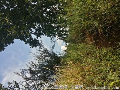 周作的句子
