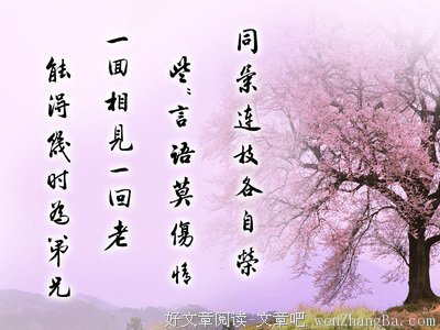 果才格言警句