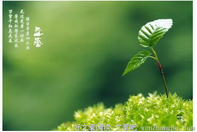 描写惊为天人的语句摘抄